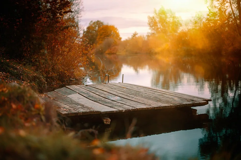 Gefaehrliche Schoenheiten Herbstzeitlosen Auf Weiden Effektiv Bekaempfen Jpg.webp