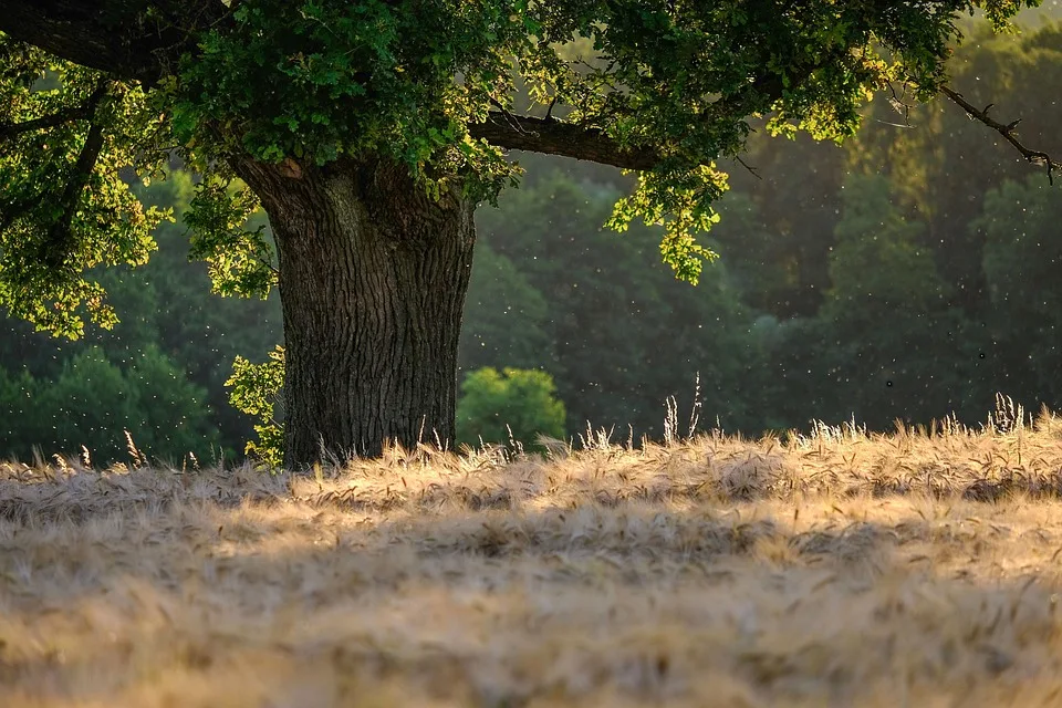 Groesserer Waldbrand Bei Luckenwalde Aktuelle Gefahrenlage Im Blick Jpg.webp