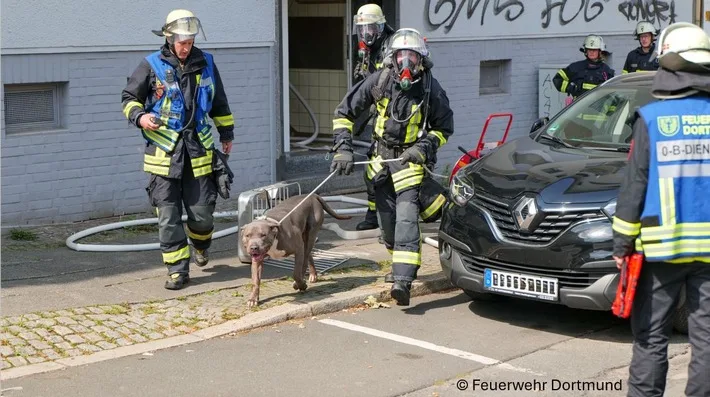 Heldhafte Feuerwehr Rettet Hund Aus Loderndem Balkonbrand In Dortmund Jpeg.webp