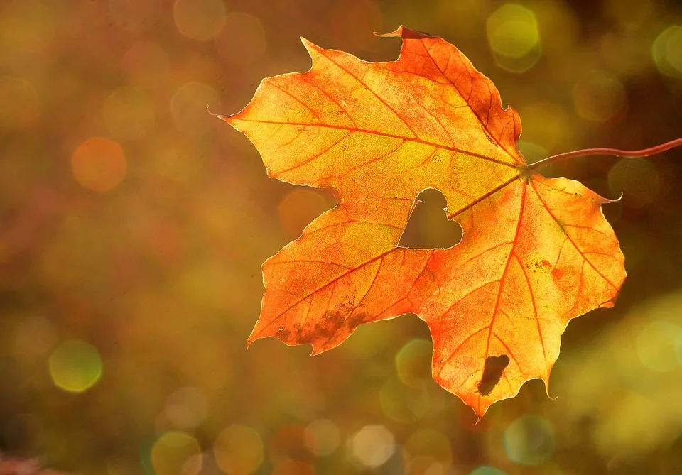 Herbstbunt Volksfeste Im September 2024 In Nrw Entdecken Jpg.webp