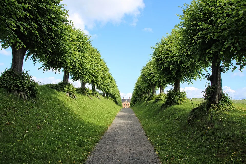 Idyllischer Kleingarten In Prenzlau Ein Paradies Sucht Neue Haende Jpg.webp