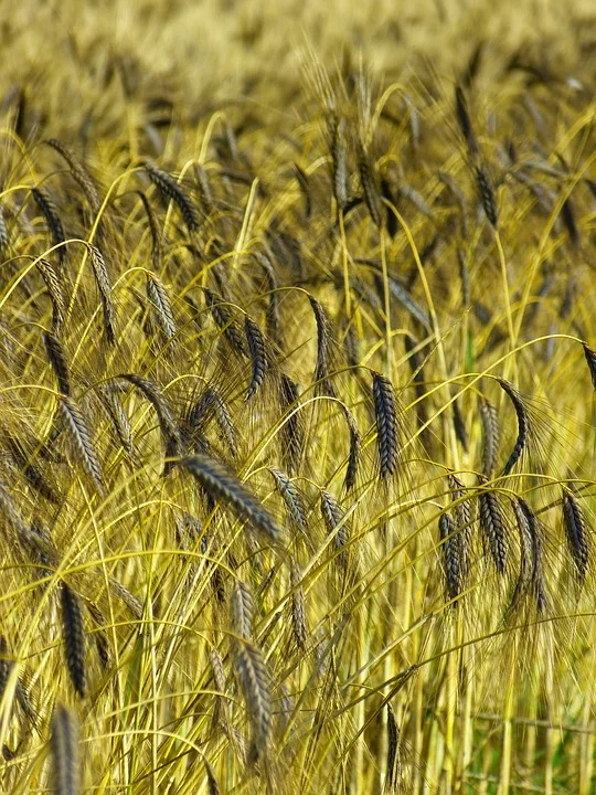 Landesbauerntag 2023 Ministerpraesident Guenther Verspricht Freiraeume Fuer Landwirte Jpg.webp