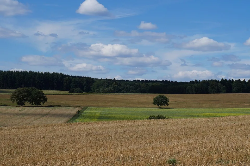 Morbach Lebensgefaehrliches Ueberholmanoever Auf L 160 Zeugen Gesucht Jpg.webp