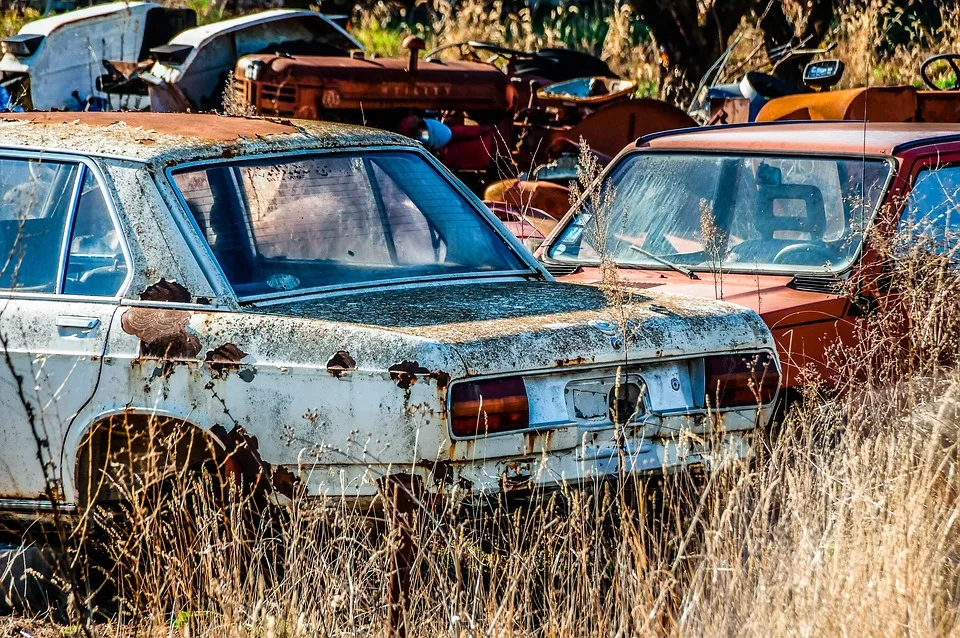 Nachhaltige Moebelboerse Stoebern Und Gutes Tun In Brandenburg Jpg.webp