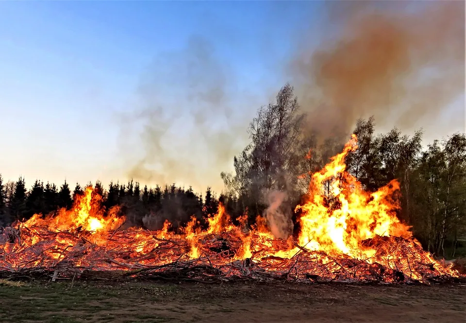 Pkw Brand In Naundorf Fahrer Entkommt Feuerwehr Verhindert Schlimmeres Jpg.webp