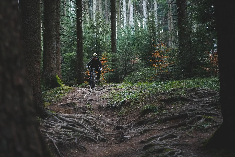 Rechtsstreit Um Mountainbike Strecke Am Mariaberg Zwischen Sport Und Konflikt Jpg.webp