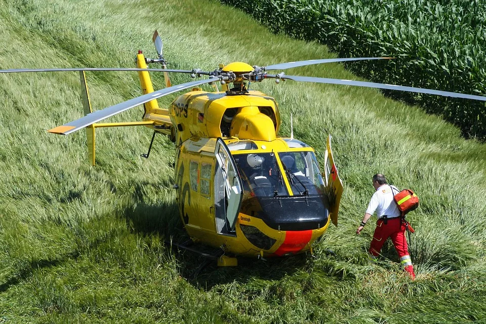 Rettung In Hohenroda Fast Alle Tiere Des Tierheims Gefunden Noch Jpg.webp