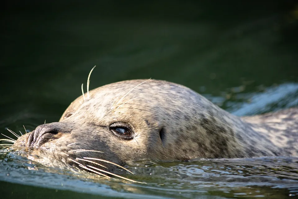 Rostocker Zoo Feiert Naturfotografie Mit Neuer Ausstellung Jpg.webp