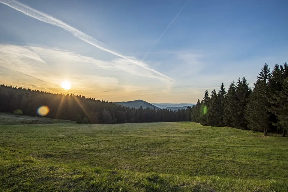 Thueringen Waehlt Umfrage Zeigt Afd Auf Rekordkurs Jpg.webp