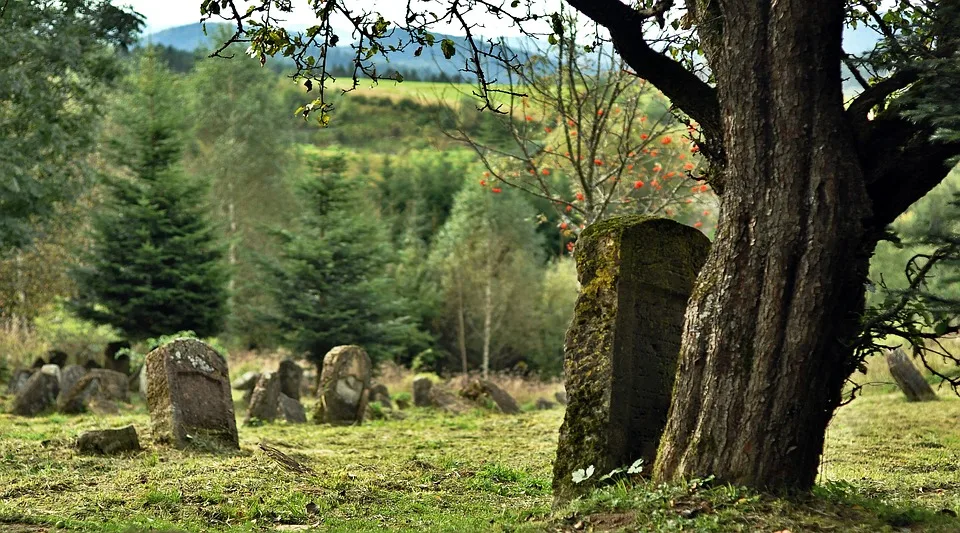 Tragischer Vorfall In Moelln Leblose Person Auf Friedhof Entdeckt Jpg.webp