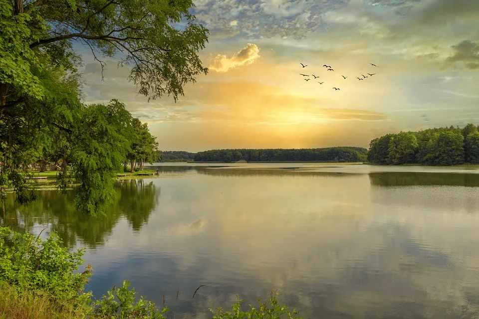 Uckermark Als Hauptaufnahmeort Fluechtlingszahlen Im Ersten Halbjahr 2024 Jpg.webp