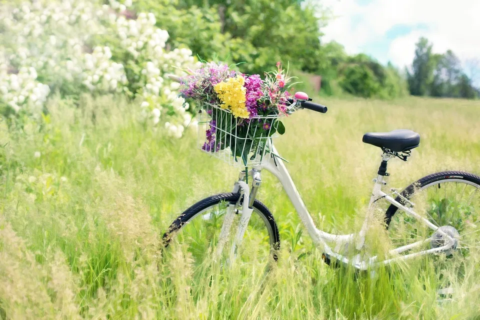 Unfall Am Kreisel Fahrradfahrer Nach Kollision Mit Roller Gesucht Jpg.webp