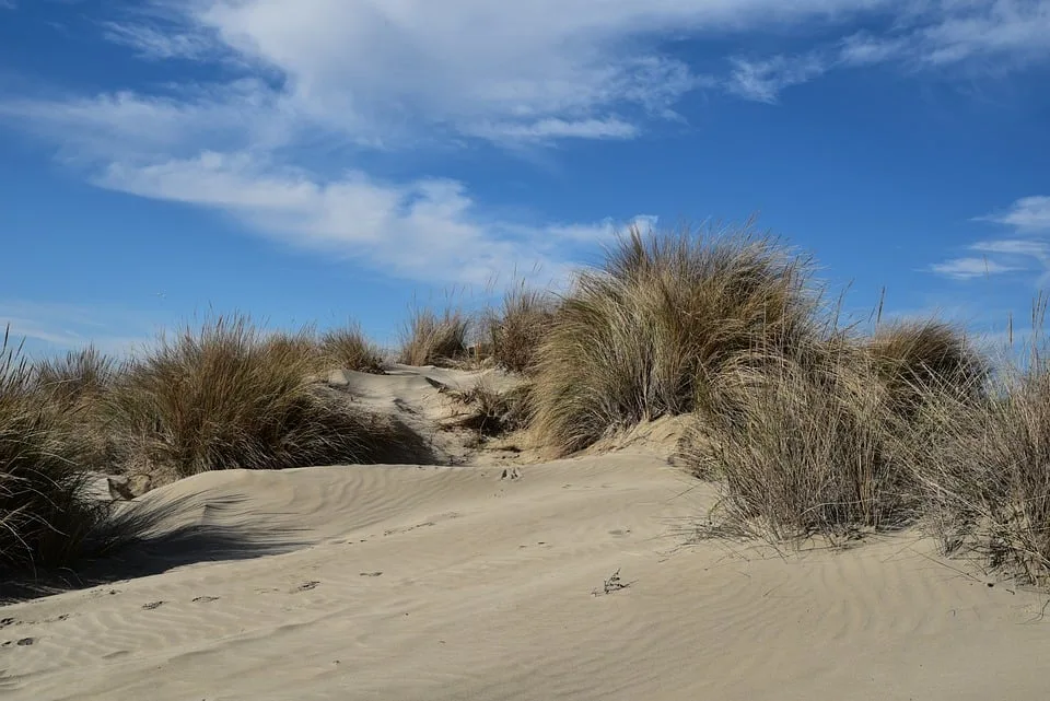 Urlaub An Der Ostsee Warum Urlauber Zunehmend Die Nordsee Bevorzugen Jpg.webp