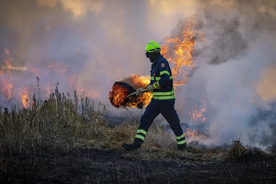 Waldbrand Bei Jueterbog Einsatzkraefte Kaempfen Gegen Flammen Und Munition Jpg.webp