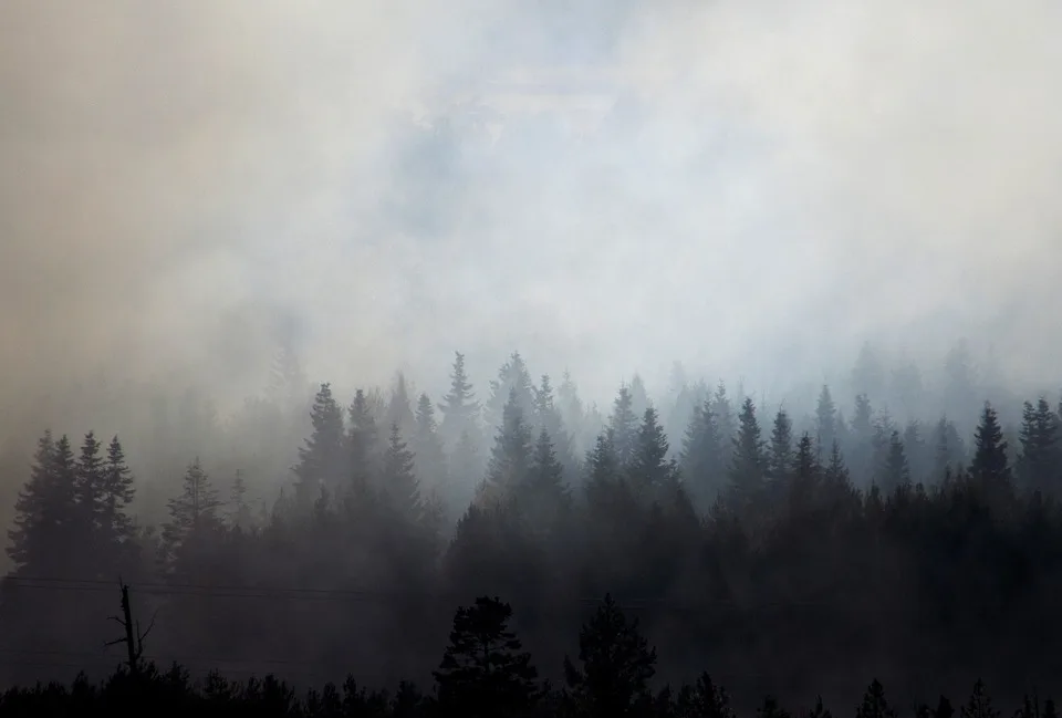 Waldbrand In Luckenwald Gefaehrdetes Gebiet Und Steigendes Risiko Jpg.webp