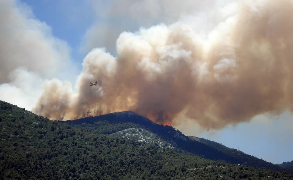 Waldbrandgefahr In Brandenburg Betroffene Regionen Im Blick Jpg.webp