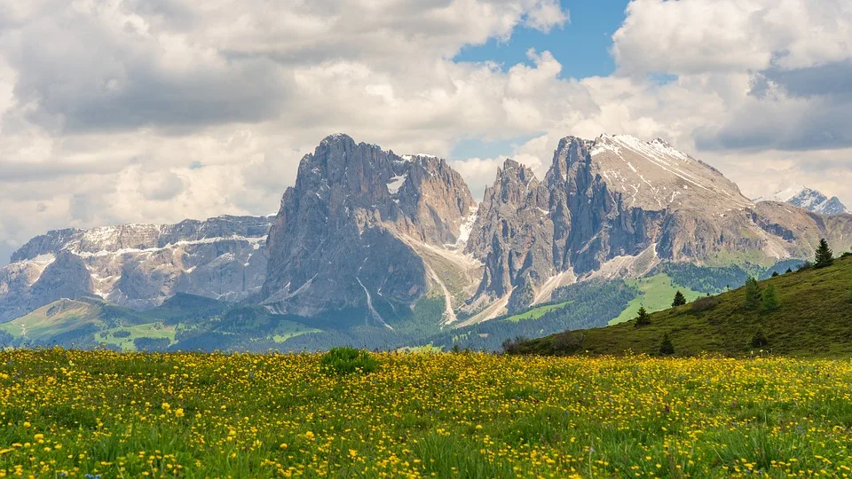 Wanderunfall In Tirol Allergischer Schock Nach Wespenstichen Jpg.webp