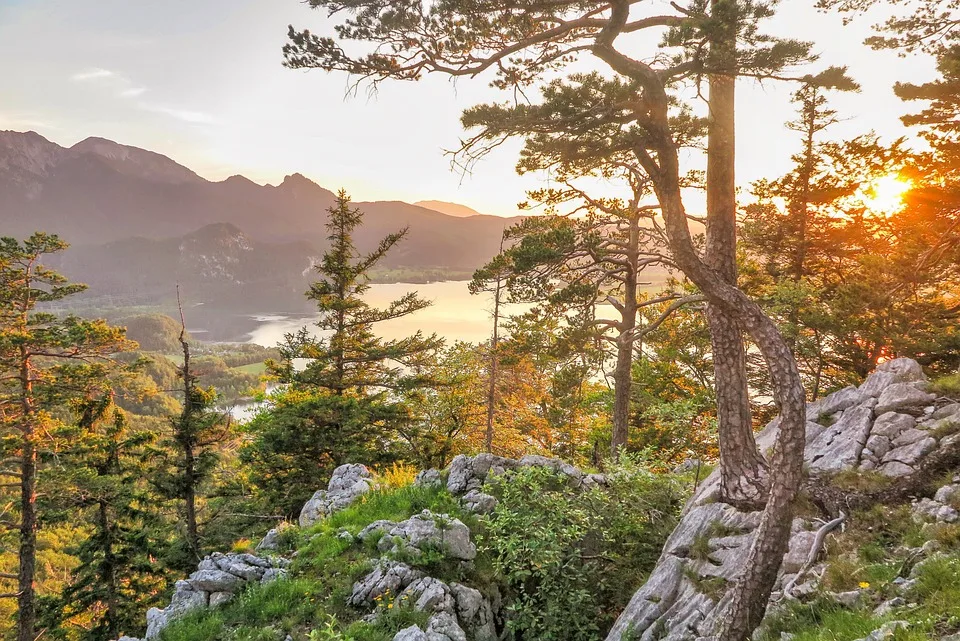 Wanderung In Gefahr Allergischer Schock Nach Wespeneinstich In Tirol Jpg.webp