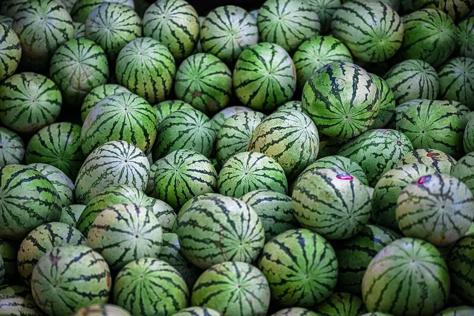 Wassermelonen Verwirrung Bei Lidl Preisfrage Sorgt Fuer Aufregung Jpg.webp