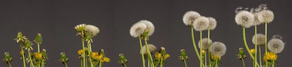 Wirtschaftsfoerderung Unter Druck Spenden Affaere Zieht Wellen Im Landkreis Jpg.webp