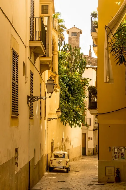 Palma De Mallorca 2900559 960 720 Jpg.webp