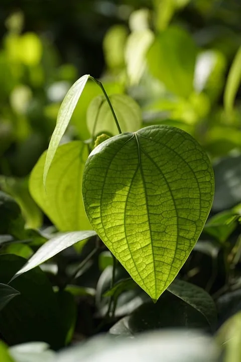 Rbb Plant Verkauf Des Hochhauses In Der Masurenallee Zur Kostensenkung Jpg.webp