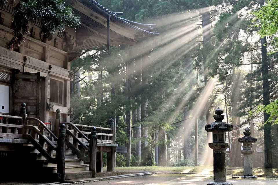 Sun Rays 7387131 960 720 Jpg.webp