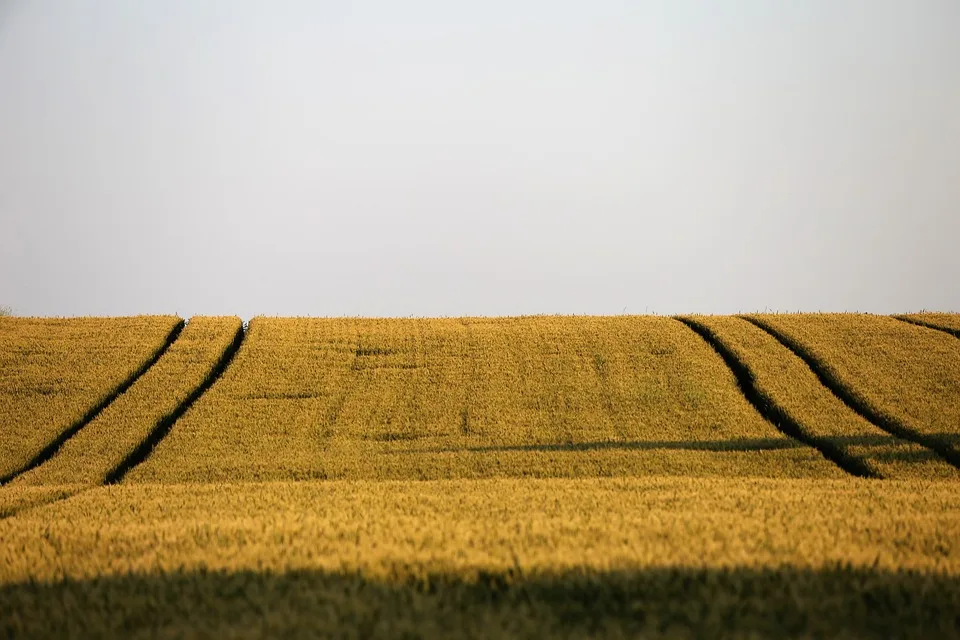 Agri Pv Im Landkreis Kassel Innovative Energie Fuer Breuna Und Umgebung Jpg.webp