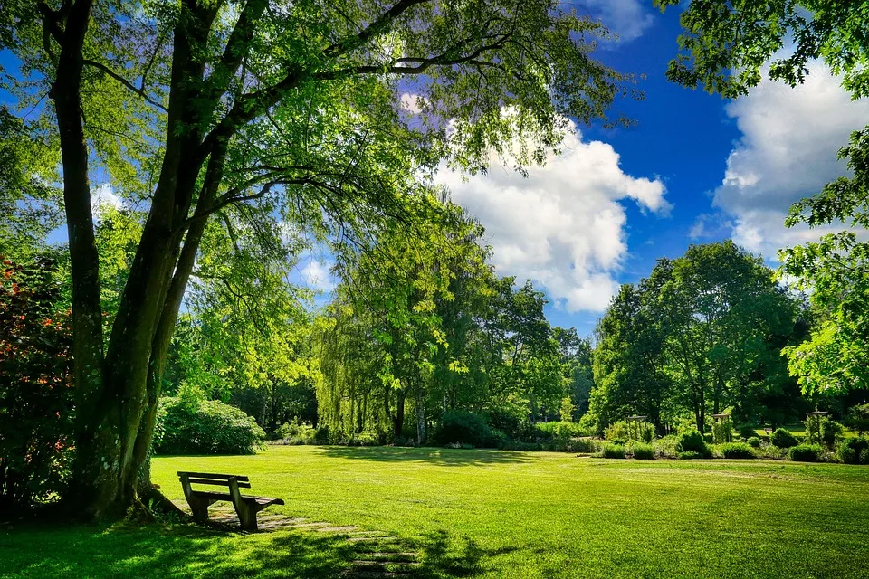 Bewegungsfest Im Park Ein Nachmittag Voller Spiel Und Spass Fuer Jpg.webp