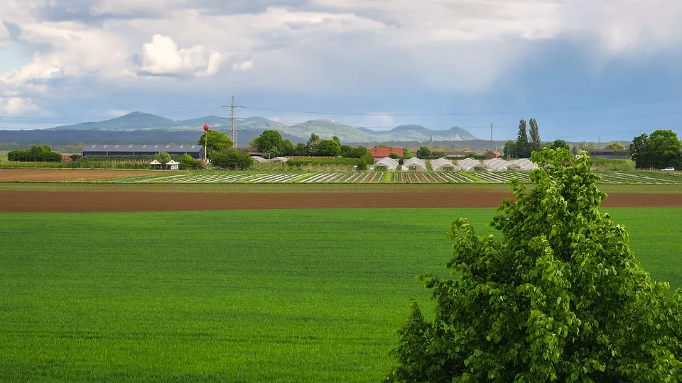 Bonner Rheinufer Ein Neuer Glanz Fuer Die Stadt Am Wasser Jpg.webp