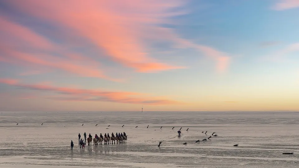 Ein Jahrhundert Forschung Wattenmeer Station Auf Sylt Feiert Jubilaeum Jpg.webp