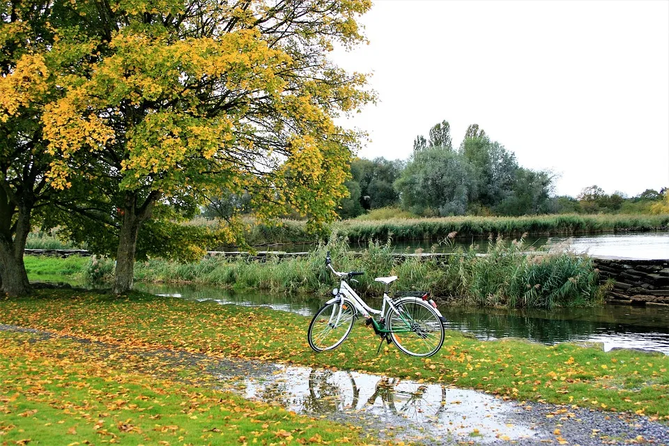 Entdeckungstour Im Burgunder Land Weine Und Kueche Am Bodensee Jpg.webp