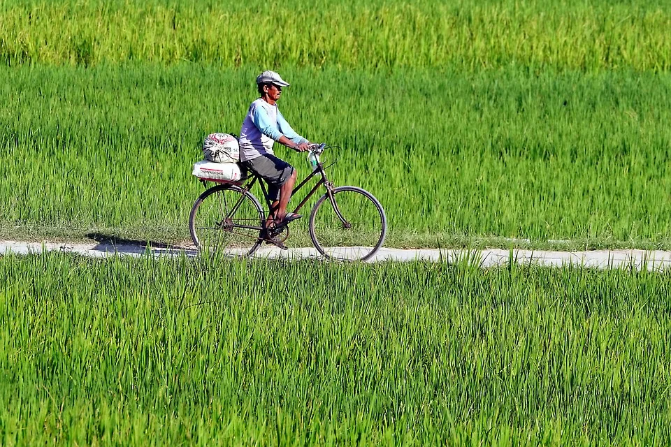 Fahrraddieb Aus Waldbroel Ein Jahr Und Vier Monate Haft Fuer Jpg.webp