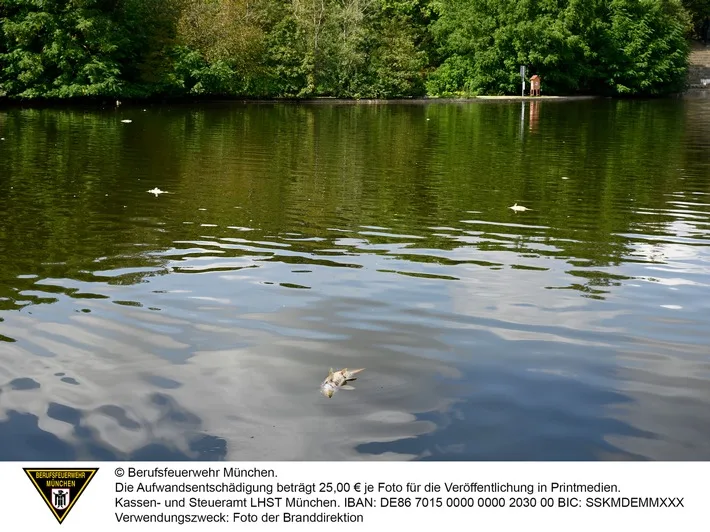 Fischsterben Am Westparksee Feuerwehr Kaempft Um Die Rettung Der Tiere Jpeg.webp