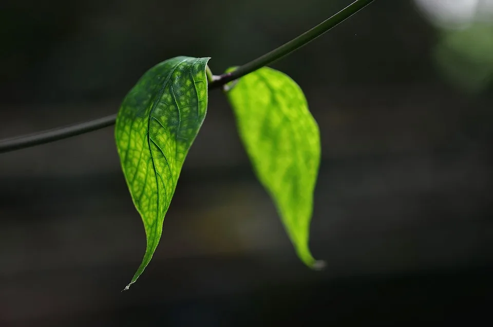 Gartenseminar Tipps Zur Gestaltung Von Teich Und Bachlauf In Koenigsbrunn Jpg.webp