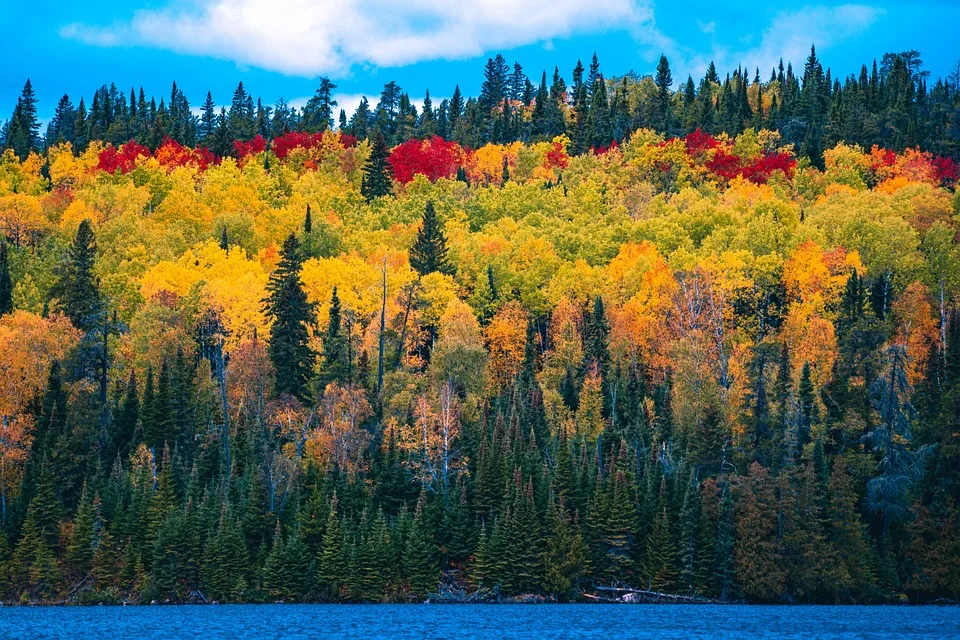 Herbstferien In Arbon Jetzt Freie Plaetze Fuer Spannende Kurse Sichern Jpg.webp