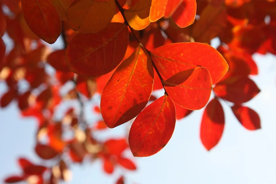 Herbstliche Temperaturen Freibaeder In Hamburg Schliessen Saison Jpg.webp