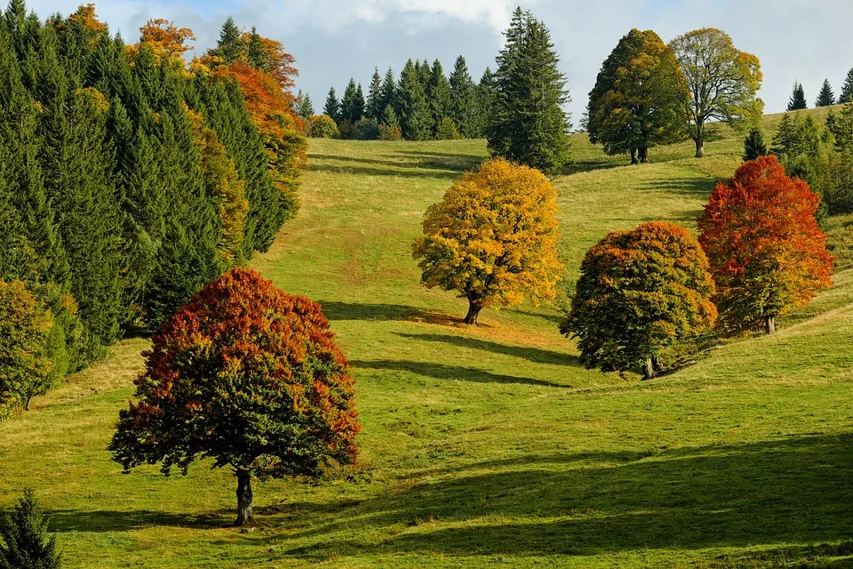 Herbstlicher Wetterumschwung Gewitter Und Temperatursturz In Hessen Jpg.webp