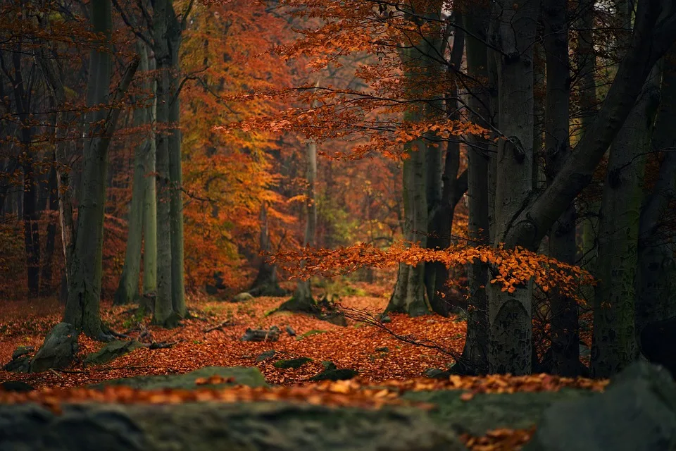 Herbstmarkt Auf Gut Oestergaard Kunst Genuss Und Familienfun Erleben Jpg.webp