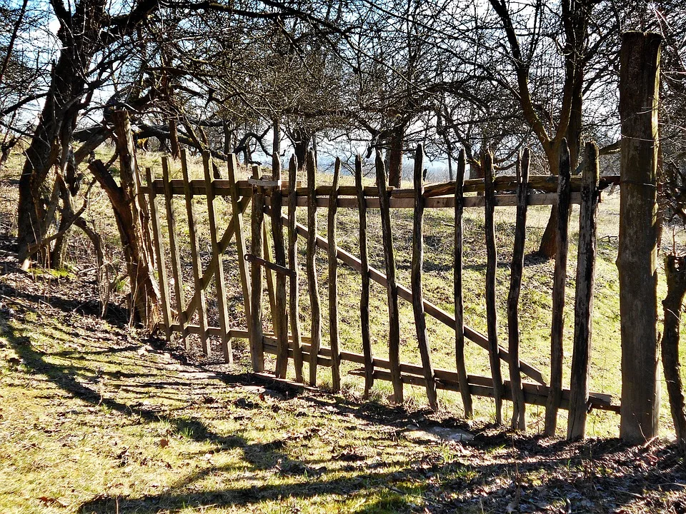 Huerden Bei Abschiebungen Einblicke In Den Kreis Euskirchen Jpg.webp