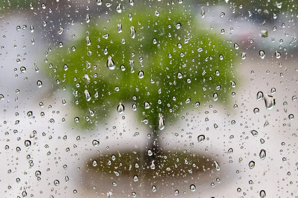 Kaltfront Naht Gewitter Bringen Unerwarteten Wetterumschwung In Rheinland Pfalz Jpg.webp