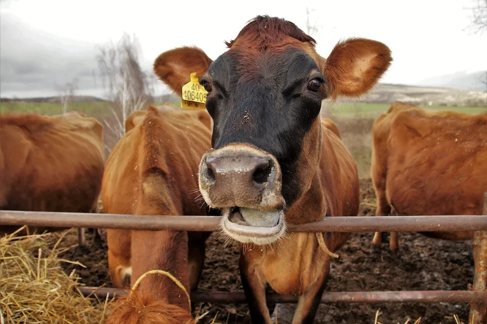 Oekonomik Neu Betrachtet Heiner Flassbecks Aufruf Zur Ressourcenschonung Jpg.webp