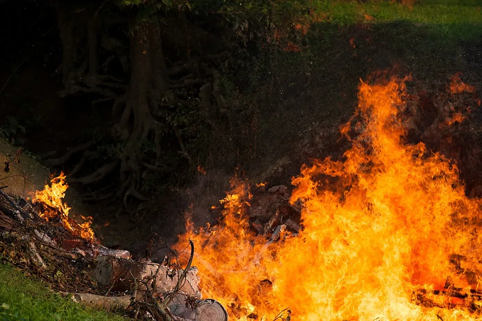 Raetselhafter Heuballenbrand In Dahlheim Polizei Sucht Zeugen Jpg.webp