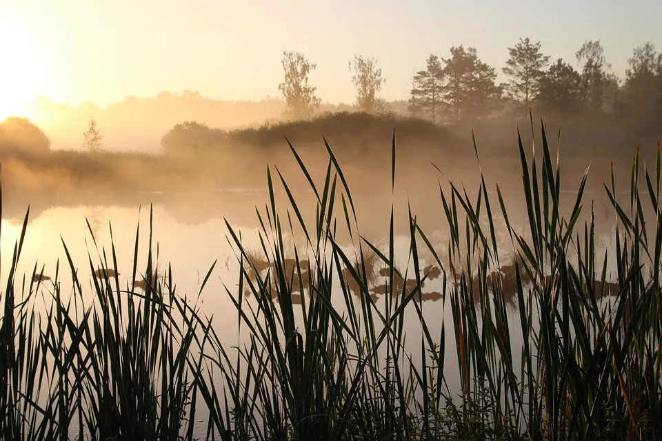 Schwenninger Strohpark 2023 Kreative Ideen Und Festliche Stimmung Jpg.webp