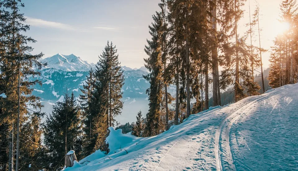 Skispass Fuer Jugendliche Werde Sporthelferin In Olsberg Und Winterberg Jpg.webp