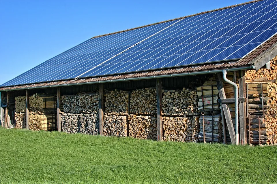 Streit Um Photovoltaik Regensburger Familie Fordert Schadenersatz Jpg.webp