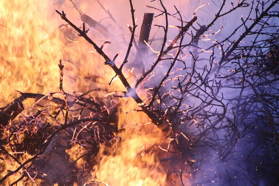 Tragischer Wohnungsbrand In Euskirchen Ein Toter Und Leichte Verletzungen Jpg.webp