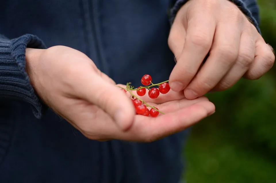 Traurige Wende Bio Supermarkt Erdkorn In Kiel Schliesst Seine Tueren Jpg.webp