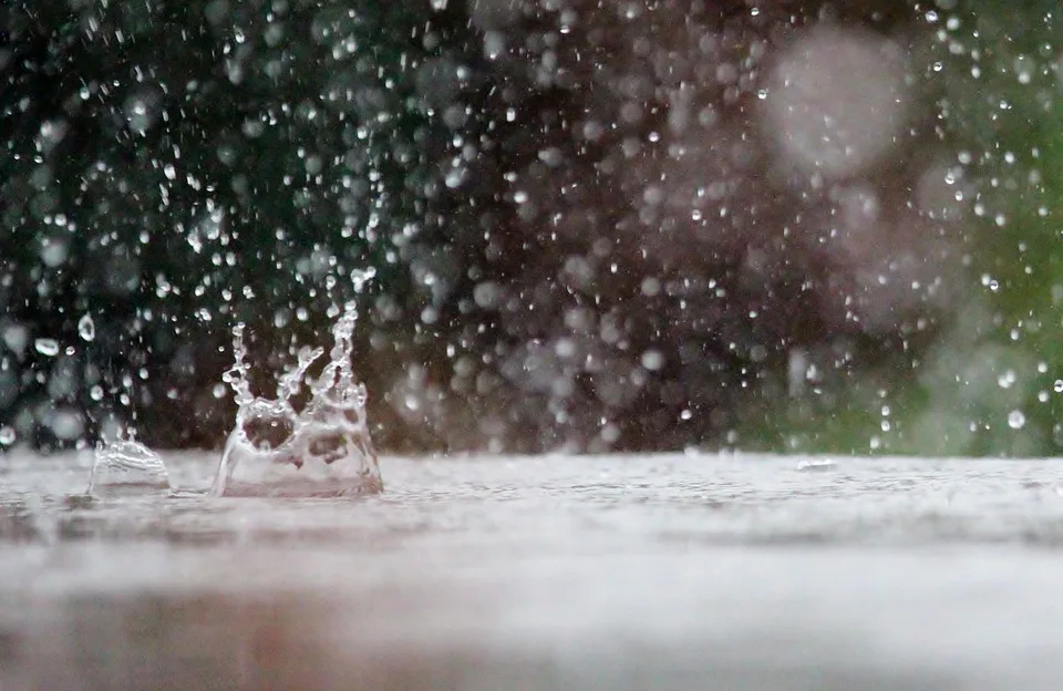 Unwetter In Ostfriesland Sechs Tonnen Fische Erliegen Dem Sauerstoffmangel Jpg.webp