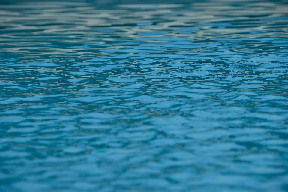 Verena Schott Ein Schwimmstar Kaempft Gegen Alle Widrigkeiten Jpg.webp